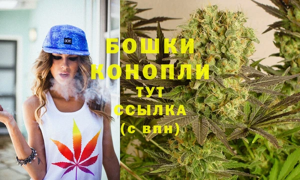 ГАЛЛЮЦИНОГЕННЫЕ ГРИБЫ Алексин