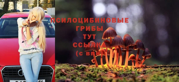 спайс Алексеевка